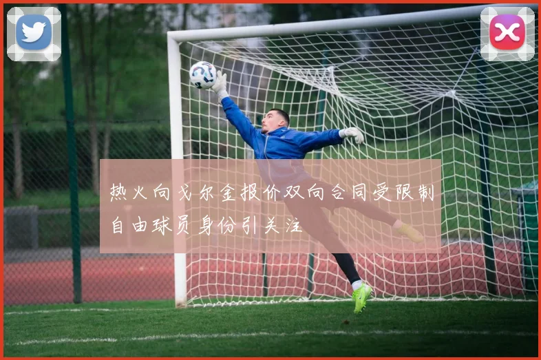 热火向戈尔金报价双向合同受限制自由球员身份引关注
